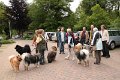 doetlingen 2013 (10)